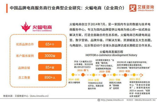 艾媒咨詢 2023年中國品牌電商服務(wù)商行業(yè)研究報告